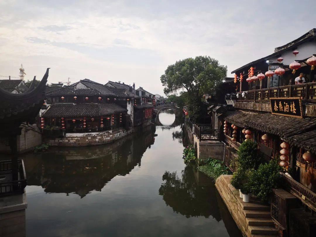 冷知识分享平台-大白菜的炒菜方法,揭秘你不知道的世界