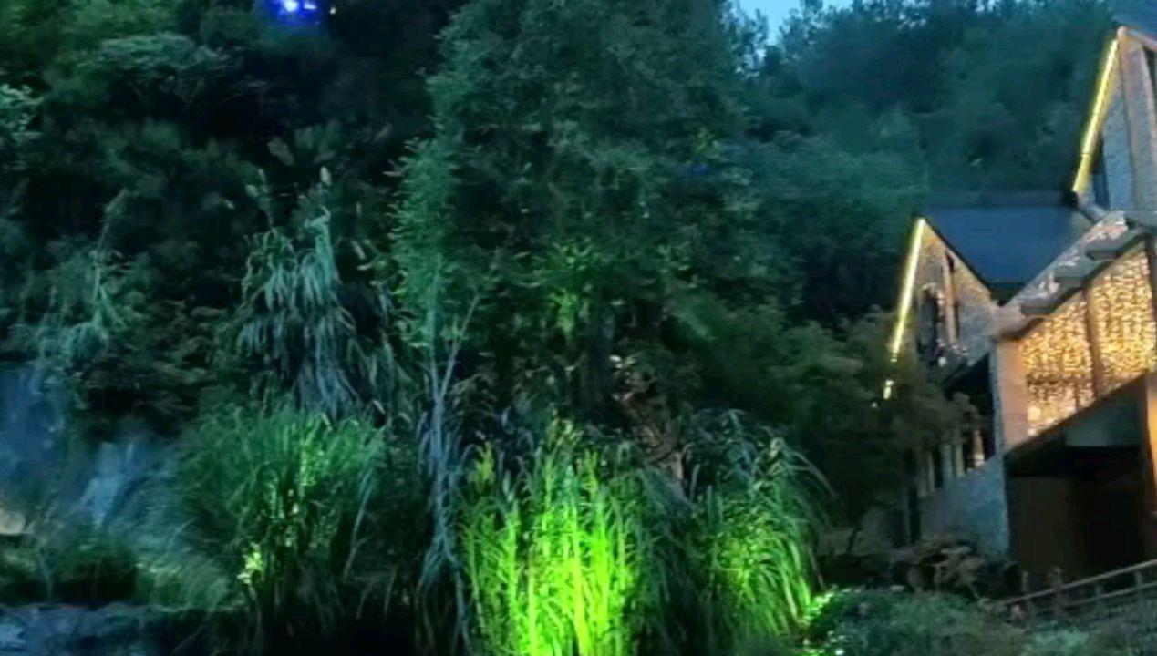 兔和狗的属相合不合- 专业的问答类网站
